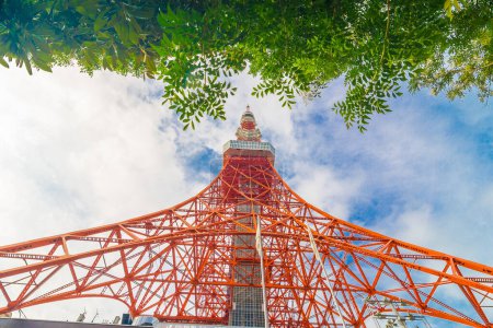Photo for Tokyo Tower on sunshine day with blue sky green tree leaf foreground, Modern architecture - Royalty Free Image