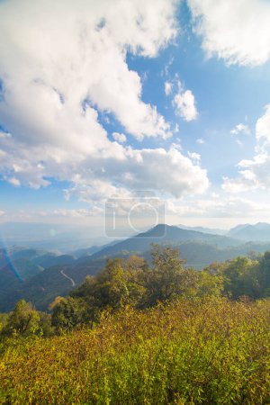 Téléchargez les photos : Pic de montagne avec herbe pinède coucher de soleil ciel nuage nature paysage - en image libre de droit