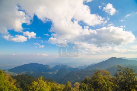 Photo for Mountain peak with grass pine forest sunset sky cloud nature landscape - Royalty Free Image