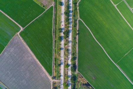 Téléchargez les photos : Route rurale avec rizière verte vue aérienne - en image libre de droit