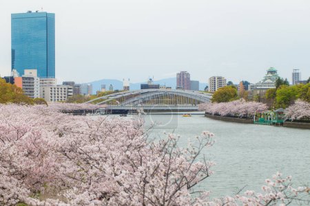 Photo for Sakura blooming park with river and building, Tokyo, Japan - Royalty Free Image