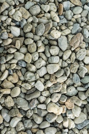 Téléchargez les photos : Détail de la texture circulaire en pierre, Fond rocheux - en image libre de droit