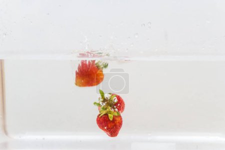 Téléchargez les photos : Fraise éclaboussure de fruits vitaminés dans l'eau sur fond blanc - en image libre de droit