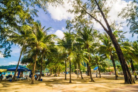 Téléchargez les photos : Cocotier sur la plage de la mer, Paradise plage tropicale - en image libre de droit
