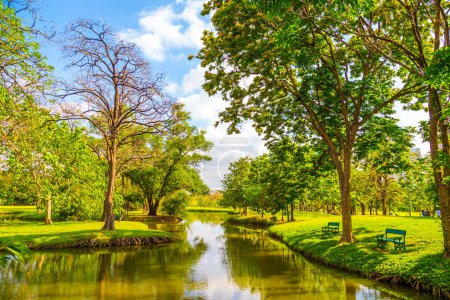 Foto de Parque verde con árbol y prado día soleado - Imagen libre de derechos