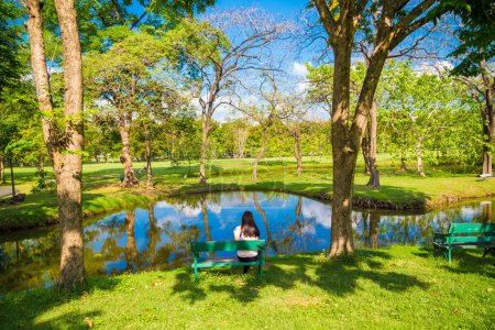 Foto de Parque verde con árbol y prado día soleado - Imagen libre de derechos