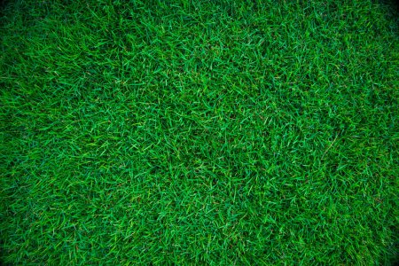 Téléchargez les photos : Abstrait herbe verte fond botanique vue de dessus herbe verte fond de fraîcheur - en image libre de droit