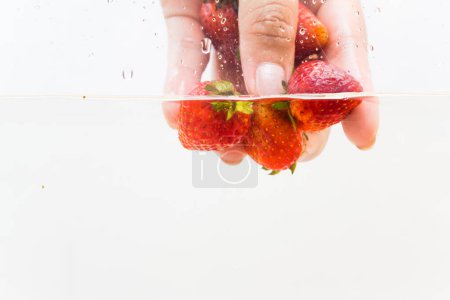 Foto de Recoger a mano fruta fresca de fresa en agua sobre fondo blanco - Imagen libre de derechos