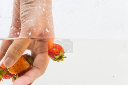 Téléchargez les photos : Ramasser à la main des fraises fraîches dans l'eau sur fond blanc - en image libre de droit