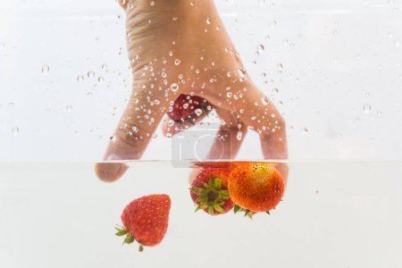 Foto de Recoger a mano fruta fresca de fresa en agua sobre fondo blanco - Imagen libre de derechos