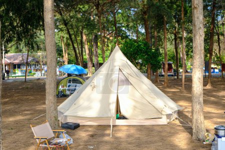 Téléchargez les photos : Camping tente sur la plage dans la forêt de pins nature paysage vacances d'été - en image libre de droit