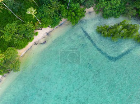 Photo for Aerial view sea beach wave white sand beach with green tree forest summer vacation background - Royalty Free Image