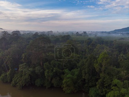 Foto de Vista aérea tropical verde bosque arbóreo con río marning amanecer naturaleza paisaje - Imagen libre de derechos