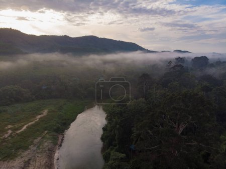 Téléchargez les photos : Vue aérienne forêt d'arbres tropicaux verts avec rivière marning lever de soleil nature paysage - en image libre de droit