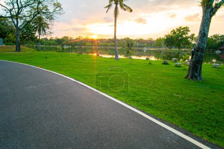 Téléchargez les photos : Asphalte marche, course et route cyclable dans le parc de la ville - en image libre de droit
