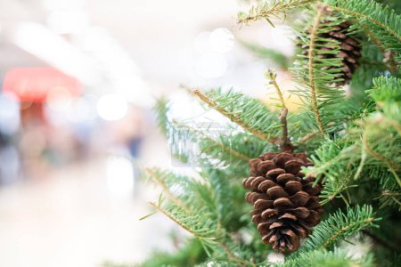 Foto de Primer plano del árbol de Navidad con fondo borroso de fruta de pino, festival de invierno - Imagen libre de derechos
