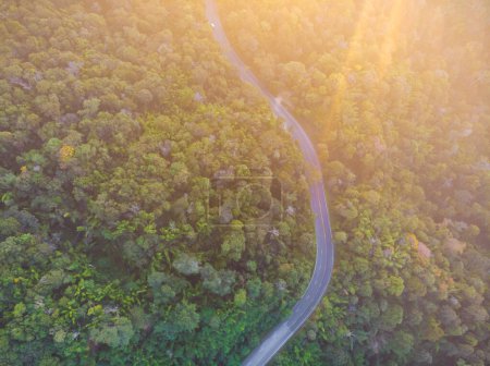 Photo for Aerial view asphalt road through tropical mountain forest sunset light transport background - Royalty Free Image