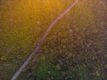 Téléchargez les photos : Vue aérienne route asphaltée à travers forêt tropicale de montagne coucher de soleil lumière arrière-plan de transport - en image libre de droit