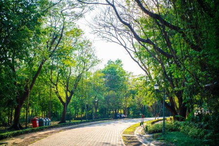 Téléchargez les photos : Beau parc avec arbres verts nature paysage arrière-plan - en image libre de droit