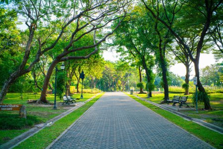 Foto de Hermoso parque con árboles verdes naturaleza paisaje fondo - Imagen libre de derechos