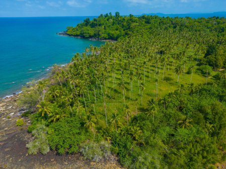 Téléchargez les photos : Vue aérienne forêt d'arbres verts tropicaux sur île tropicale mer nature paysage - en image libre de droit