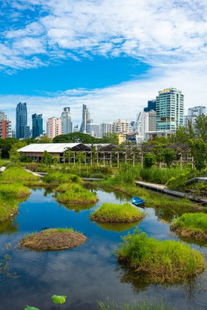 Téléchargez les photos : Benchakitti forêt tropicale humide dans le parc de la ville avec des immeubles de bureaux modernes nouveau point de repère à Bangkok Thaïlande - en image libre de droit
