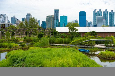 Photo for Benchakitti tropical rainforest in city park with modern office buildings new landmark in Bangkok Thailand - Royalty Free Image