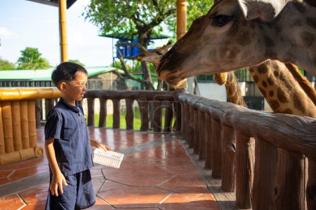 Téléchargez les photos : 5 ans maternelle garçon eenjoy alimentation girafe dans zoo heureux enfant avec animal - en image libre de droit