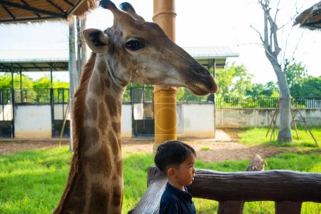 Téléchargez les photos : 5 ans maternelle garçon eenjoy alimentation girafe dans zoo heureux enfant avec animal - en image libre de droit