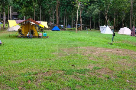 Photo for Camping tent on green grass field in tree forest mountain nature vacation - Royalty Free Image
