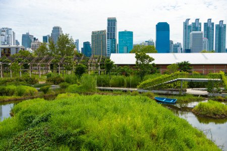 Téléchargez les photos : Benchakitti forêt tropicale humide dans le parc de la ville avec immeuble de bureaux moderne nouveau point de repère à Bangkok Thaïlande - en image libre de droit