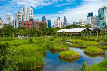 Foto de Bosque tropical tropical Benchakitti en el parque de la ciudad con edificio de oficinas moderno nuevo hito en Bangkok Tailandia - Imagen libre de derechos