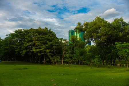 Photo for Summer cityscape view from the city Garden of golden sunset or sunrise light on the downtown Bangkok city skyline in Thailand - Royalty Free Image