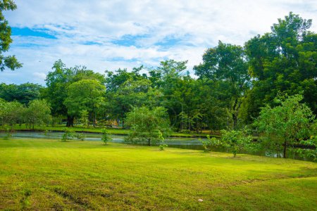 Foto de Verde prado hierba en la ciudad parque público bosque puesta del sol cielo naturaleza paisaje - Imagen libre de derechos