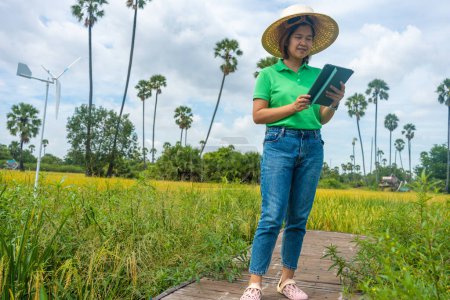 Téléchargez les photos : Une agricultrice moderne utilise la technologie des comprimés pour améliorer la productivité du riz dans les plantations de riz - en image libre de droit