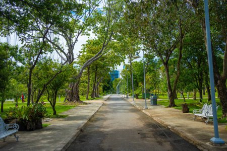 Foto de Asplalt camino a pie en el parque público de la ciudad con bosque de árboles verdes y edificios de oficinas - Imagen libre de derechos
