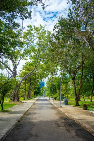 Téléchargez les photos : Chemin de randonnée Asplalt dans le parc public de la ville avec forêt d'arbres verts et immeubles de bureaux - en image libre de droit