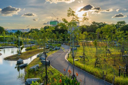 Photo for Green city park with tropical trees in Bangkok Thailand - Royalty Free Image