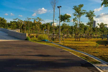 Téléchargez les photos : Parc vert de la ville avec des arbres tropicaux à Bangkok Thaïlande - en image libre de droit