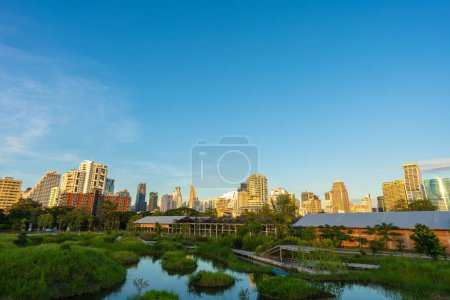 Foto de Río pantano Benchakitti, parque forestal tropical con modernos edificios de oficinas, centro de la ciudad de Bangkok Tailandia - Imagen libre de derechos