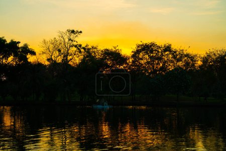 Téléchargez les photos : Paysage naturel de la ville parc public coucher de soleil rivière arbre vert forêt Bangkok Thaïlande - en image libre de droit