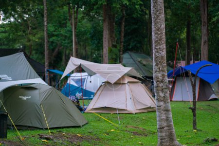 Téléchargez les photos : Camping tente sur herbe verte en forêt tropicale randonnées dans la nature - en image libre de droit