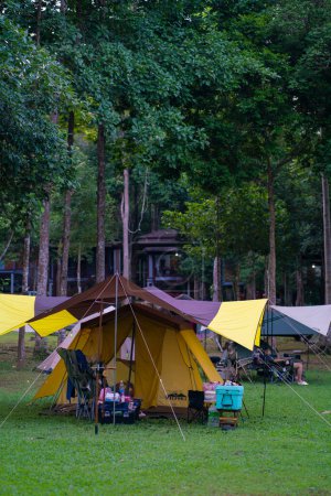 Téléchargez les photos : Camping tente sur herbe verte en forêt tropicale randonnées dans la nature - en image libre de droit