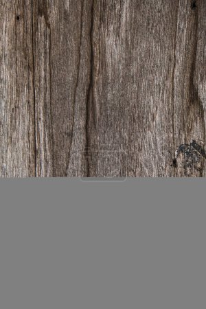 Photo for Empty vintage brown real nature wood texture wallpaper background - Royalty Free Image