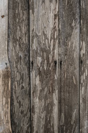 Téléchargez les photos : Vintage vide brun véritable nature bois texture fond d'écran - en image libre de droit