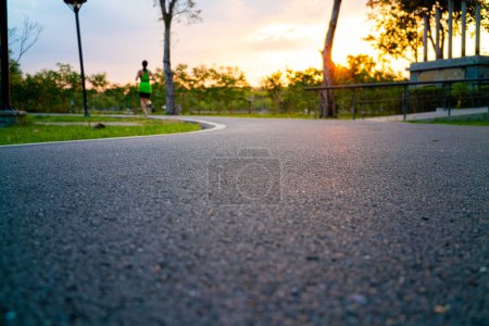 Téléchargez les photos : Asphalte parc routier sur la course à pied chemin avec herbe de prairie verte avec la lumière du coucher du soleil, arrière-plan de la nature - en image libre de droit