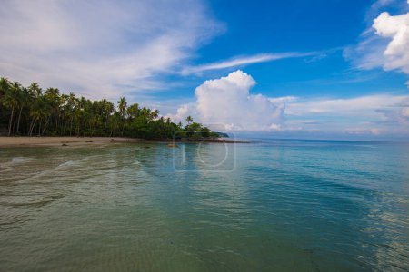 Téléchargez les photos : Mer vague plage ciel bleu avec cocotiers exotique île vacances d'été nature arrière-plan - en image libre de droit