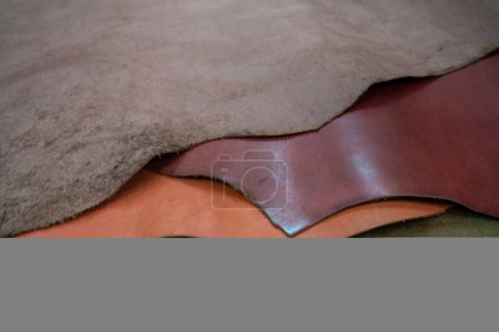 Photo for Colorful raw genuine vegetable tanned leather on shelf in crafts shop, Handmade market - Royalty Free Image