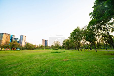 Foto de Hermoso campo verde con árboles en el paisaje del atardecer del parque de la ciudad - Imagen libre de derechos