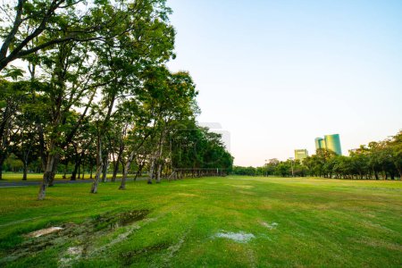 Foto de Hermoso campo verde con árboles en el paisaje del atardecer del parque de la ciudad - Imagen libre de derechos